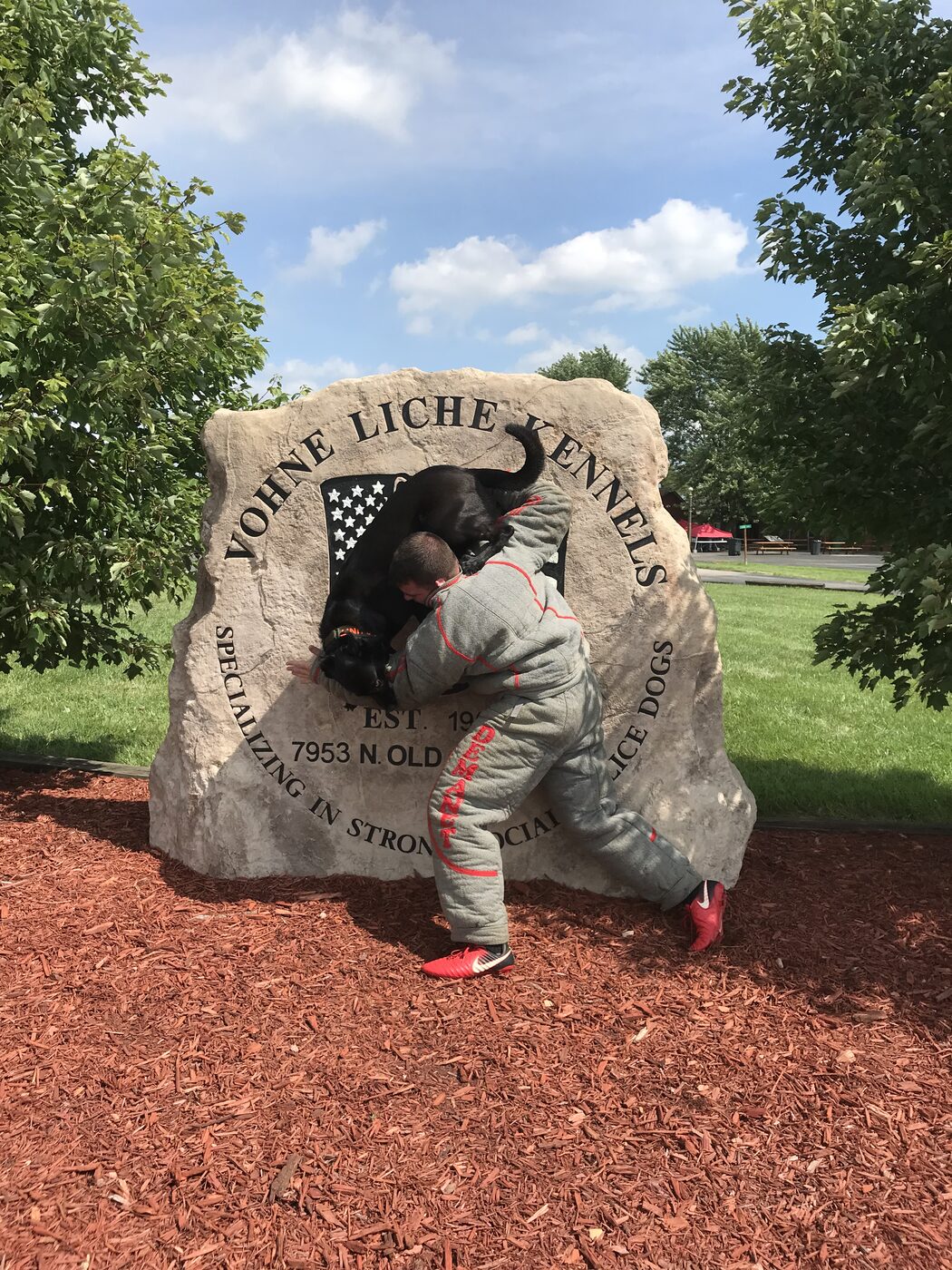 Working dog with a bite toy at the Vohne Liche Kennels training facility sign