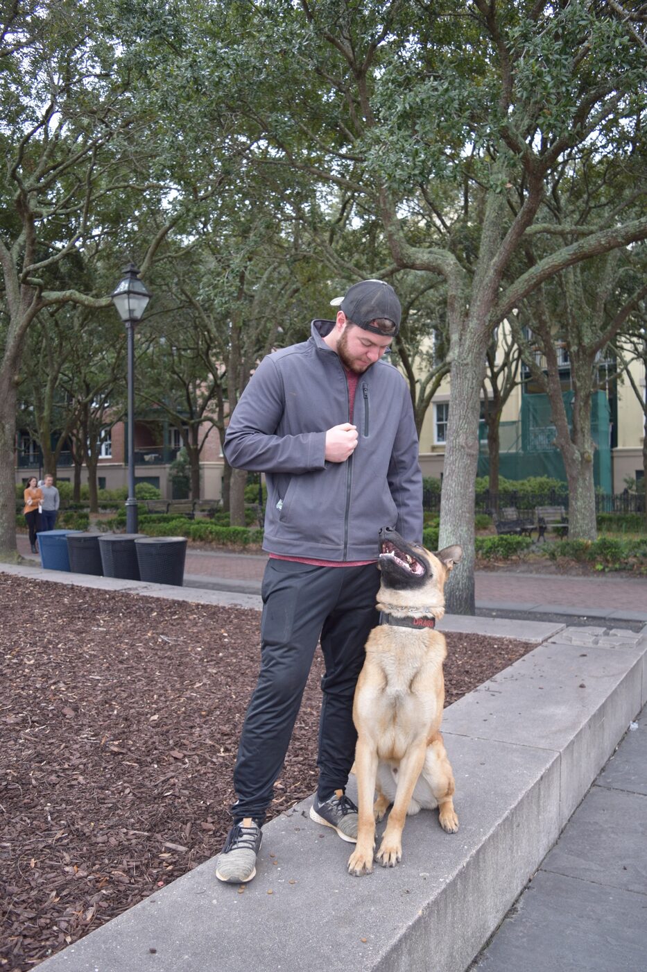 Handler working focus and engagement with a dog on a park path